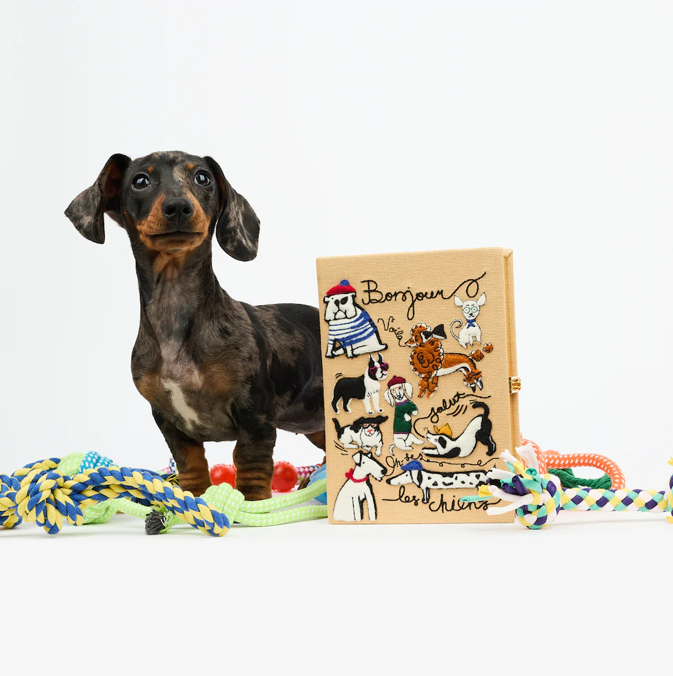 Bonjour Les Chiens (Caramel - Strapped) - Image 5