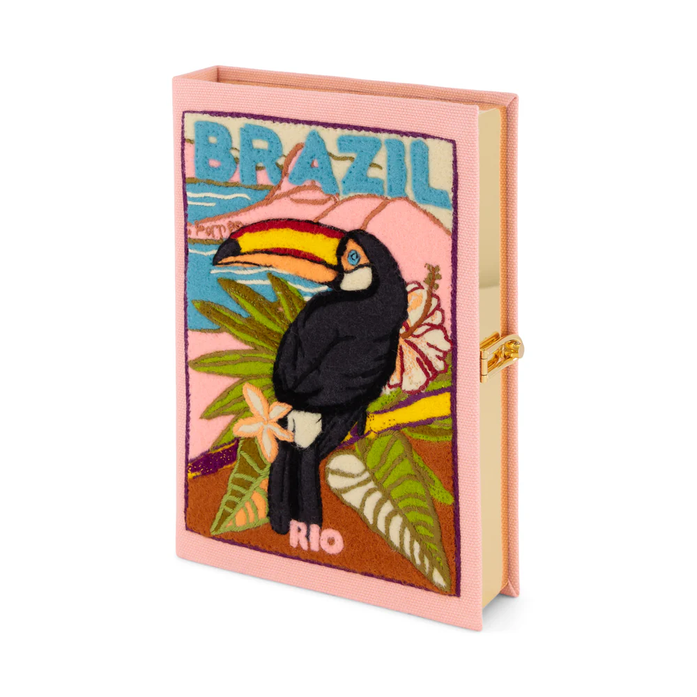 Brazilian Toucan - Image 2
