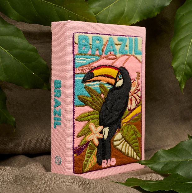 Brazilian Toucan - Image 5